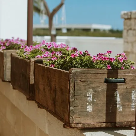 Oppure - Masseria Moderna Bed & Breakfast Polignano a Mare